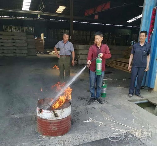 桑墟鎮開展木材加工企業消防安全演練日活動，筑牢行業安全防線